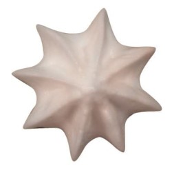 Douille Inox Cannelée -  DE BUYER - plusieurs tailles douilles disponibles - Procouteaux